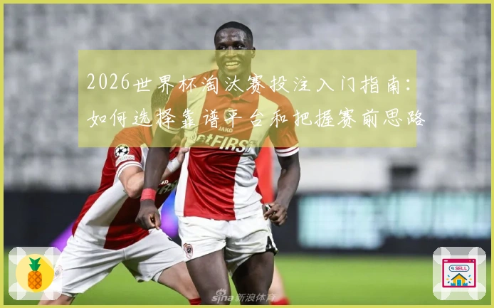 2026世界杯淘汰赛投注入门指南：如何选择靠谱平台和把握赛前思路