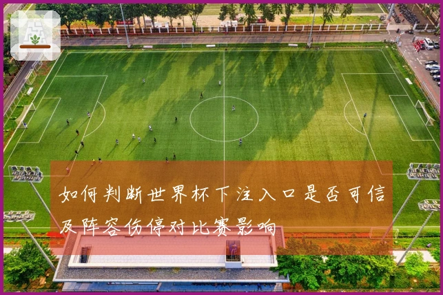 如何判断世界杯下注入口是否可信及阵容伤停对比赛影响