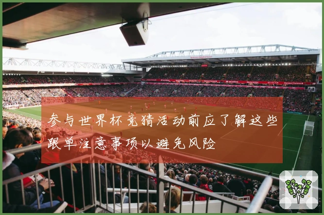 参与世界杯竞猜活动前应了解这些跟单注意事项以避免风险