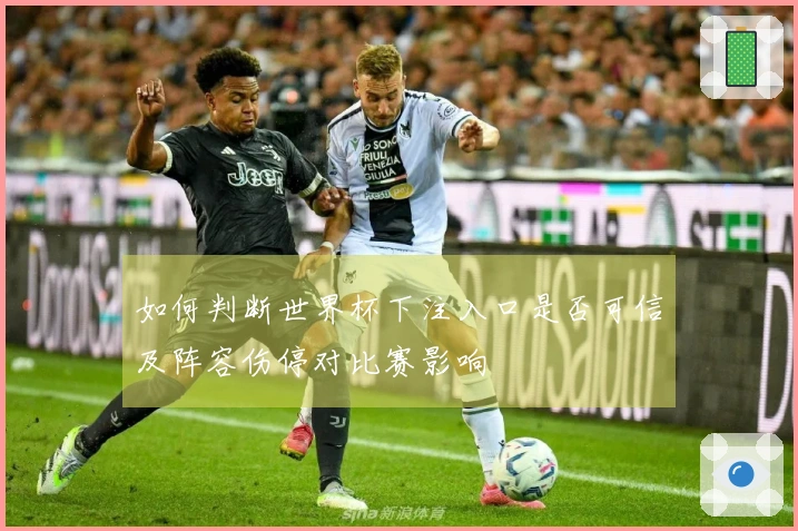 如何判断世界杯下注入口是否可信及阵容伤停对比赛影响