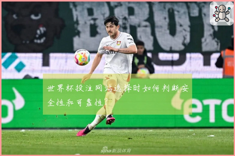世界杯投注网站选择时如何判断安全性和可靠性？